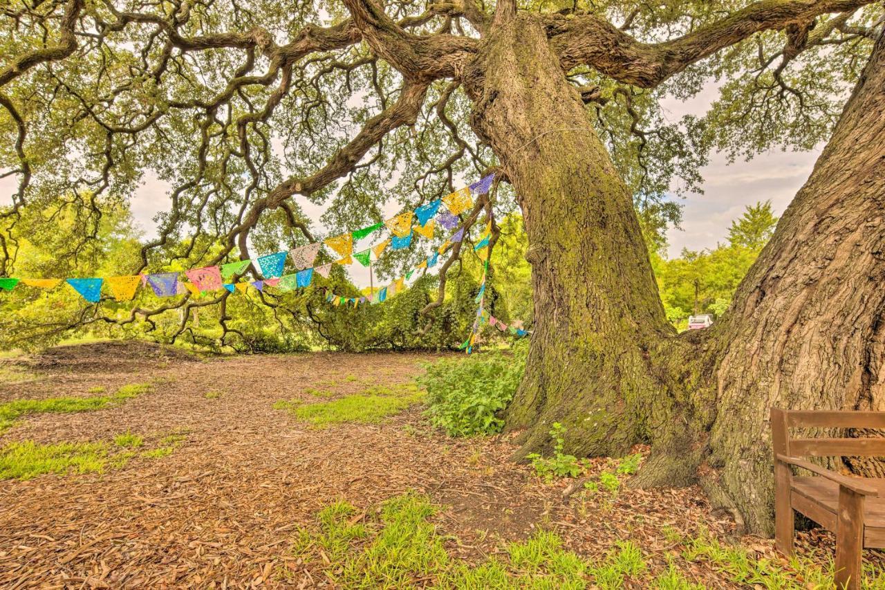 The Gathering Place Brenham Home On 6 Acres Dış mekan fotoğraf